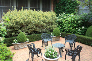 Figure 6. A monochromatic color scheme using green as a base color. Whites and various shades of green create a subtle and soothing garden space.